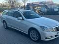 Mercedes-Benz E 250 E -Klasse T-Modell E 250 CDI 4-Matic Weiß - thumbnail 9
