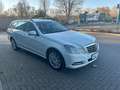 Mercedes-Benz E 250 E -Klasse T-Modell E 250 CDI 4-Matic Weiß - thumbnail 7