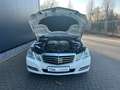 Mercedes-Benz E 250 E -Klasse T-Modell E 250 CDI 4-Matic Weiß - thumbnail 29