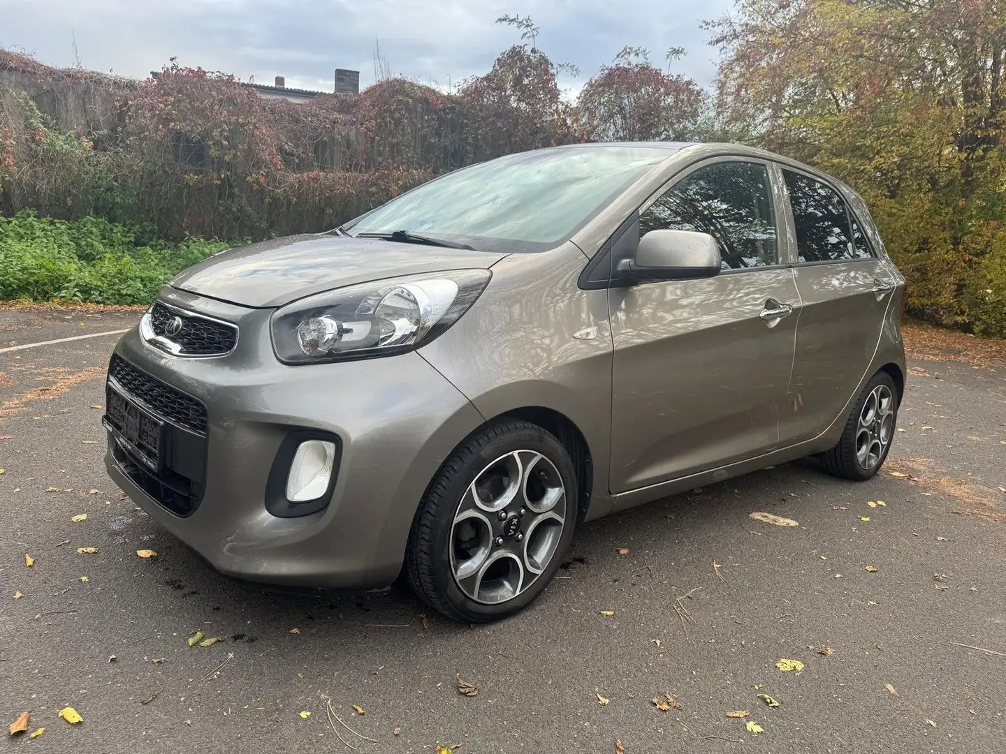 Kia Picanto Intro Edition Grau - 2