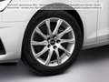 Audi A4 40 TFSI S LINE LED NAVI+ STDHZG LM Grau - thumbnail 7