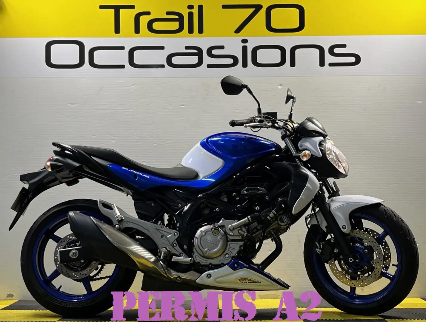 Suzuki Gladius 650 Blanc - 1