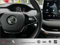 Skoda Sonstige Enyaq iV 50*AZN-Haus-Förderung* Kamera NAVI LED Blau - thumbnail 19