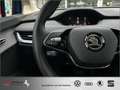 Skoda Sonstige Enyaq iV 50*AZN-Haus-Förderung* Kamera NAVI LED Blau - thumbnail 18