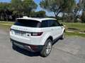 Land Rover Range Rover Evoque Range Rover Evoque 2.0TD4 HSE 4WD Aut. 150 HSE Blanco - thumbnail 7