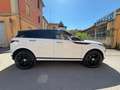 Land Rover Range Rover Evoque 2.0D I4 150CV AWD Business Edit. Premium "ProMMo" Wit - thumbnail 6