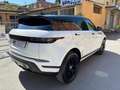 Land Rover Range Rover Evoque 2.0D I4 150CV AWD Business Edit. Premium "ProMMo" Wit - thumbnail 5