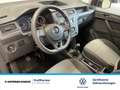Volkswagen Caddy 1.0 TSI Park Assist Weiß - thumbnail 16