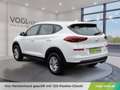 Hyundai TUCSON 1,6 CRDI 4WD Level 3 Weiß - thumbnail 3