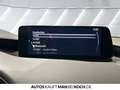 Mazda 3 150 6MT M HYBRID HOMURA HUD LED NAVI DAB RKAM Beige - thumbnail 20