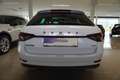 Skoda Superb Combi Sportline 4x4 DSG AHV/Pano/360° Weiß - thumbnail 6
