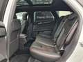 Ford Mondeo Turnier ST-Line - ASSISTS - PANO -WINTER Blanc - thumbnail 13