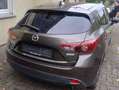 Mazda 3 3 SKYACTIV-D 105 NAKAMA Braun - thumbnail 3