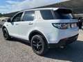 Land Rover Discovery Sport Discovery Sport 2.2 TD4 HSE N1G AUTOCARRO Blanco - thumbnail 4