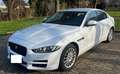 Jaguar XE XE 20d Prestige AWD (TÜV NEU) Weiß - thumbnail 3