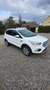 Ford Kuga 1,5 TDCi Trend Start/Stop - thumbnail 2