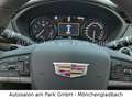 Cadillac XT4 350T AWD Sport - Panorama,Driver&Komfort-Pak Negro - thumbnail 14