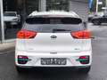 Kia Niro Spirit WERKSGAR+NAVI+LED+KAMER+ACC+SHZ+WP+ Blanc - thumbnail 6