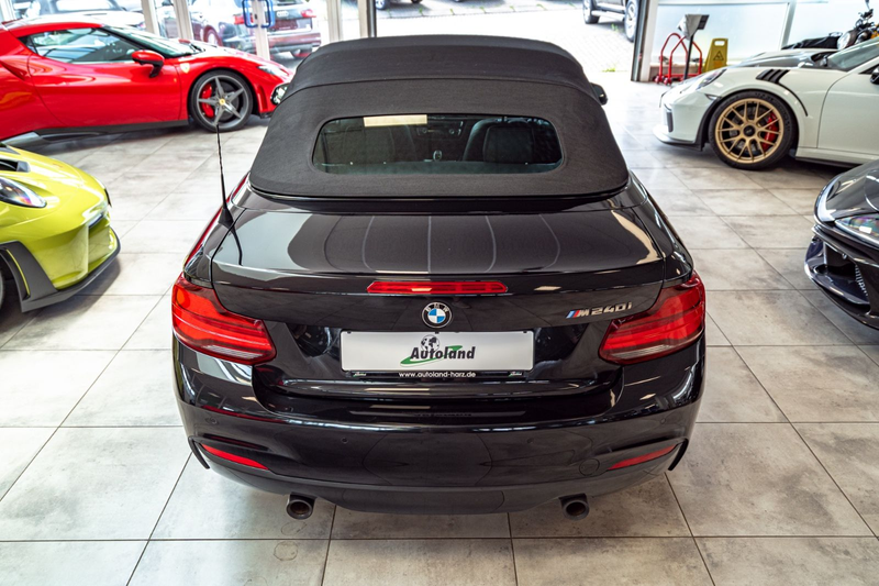 BMW 240 Cabrio Aut.*H&K*CARBON*CAM*DAKOTA* — photo 8