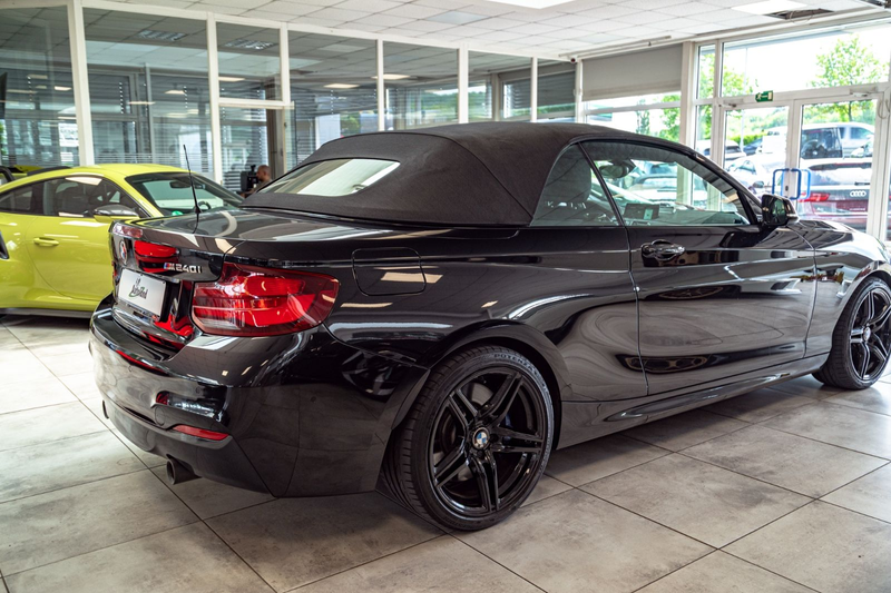 BMW 240 Cabrio Aut.*H&K*CARBON*CAM*DAKOTA* — photo 10
