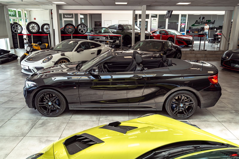 BMW 240 Cabrio Aut.*H&K*CARBON*CAM*DAKOTA* — photo 4