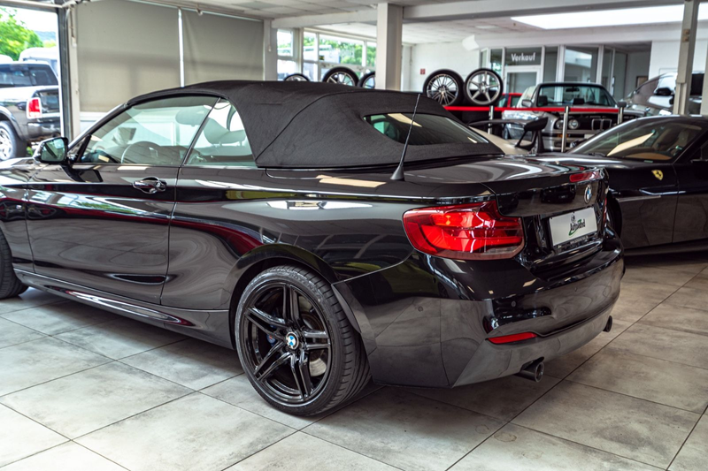 BMW 240 Cabrio Aut.*H&K*CARBON*CAM*DAKOTA* — photo 6