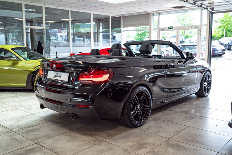 BMW 240 Cabrio Aut.*H&K*CARBON*CAM*DAKOTA* — photo 9
