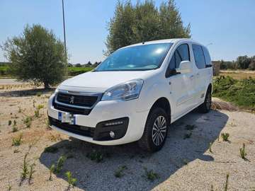 Tepee 1.6 BlueHDi 100 CV 4x4 Active Traction