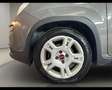 Fiat Panda 3ª serie - Panda 1.0 FireFly S&S Hybrid City Life Grau - thumbnail 16