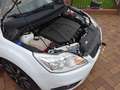 Ford Focus Focus Turnier Turnier 1.8 White Magic Weiß - thumbnail 26