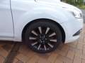 Ford Focus Focus Turnier Turnier 1.8 White Magic Weiß - thumbnail 12