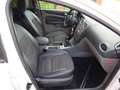 Ford Focus Focus Turnier Turnier 1.8 White Magic Weiß - thumbnail 16