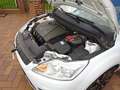 Ford Focus Focus Turnier Turnier 1.8 White Magic Weiß - thumbnail 24