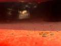 Maserati Bora 4.9ltr. matching numbers Rood - thumbnail 38
