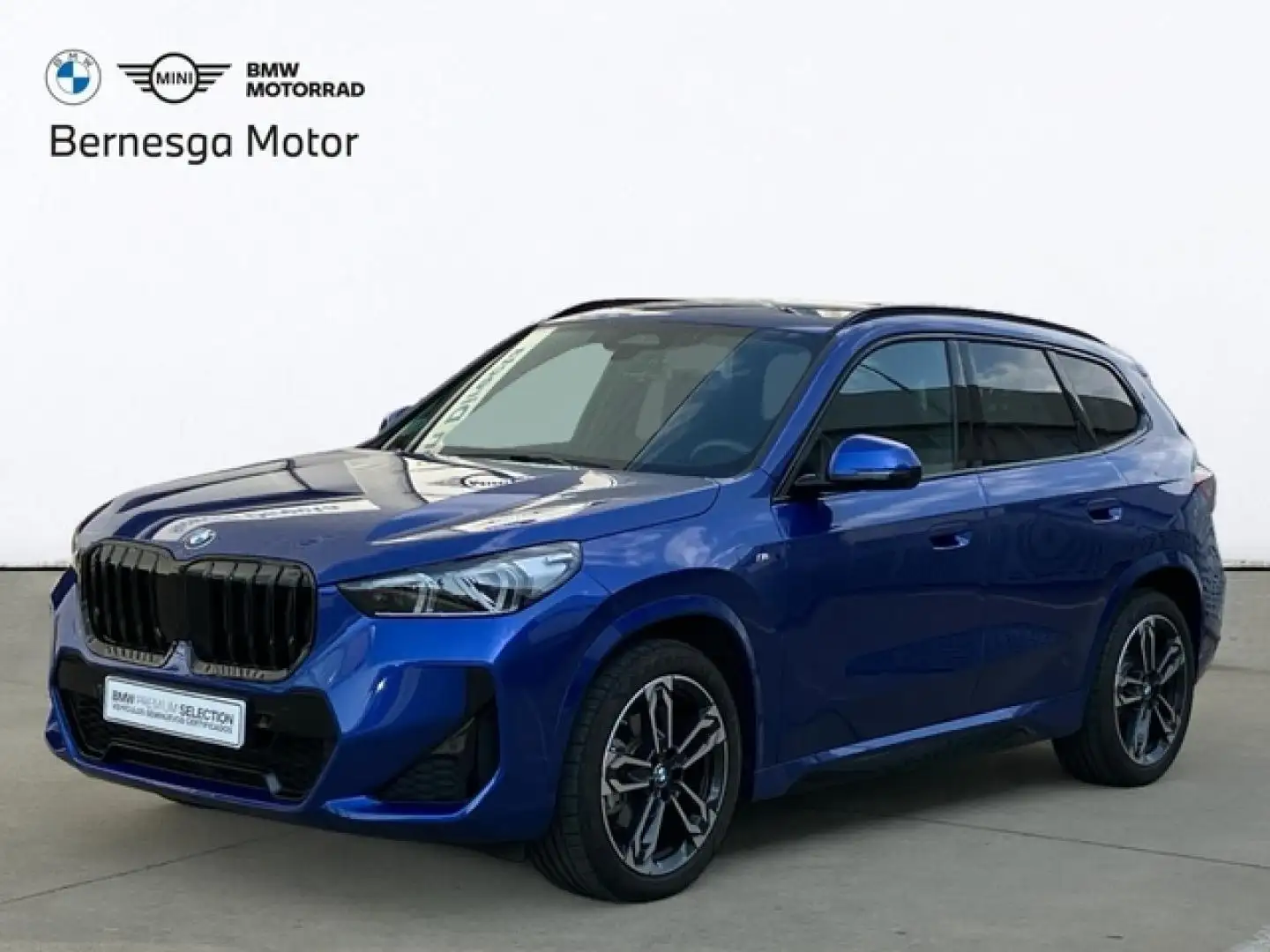 BMW X1 xDrive 20dA Azul - 1