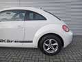 Volkswagen New Beetle Käfer 1.2 TSI Design Gerne Finanzierung +++ Blanc - thumbnail 5