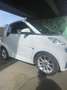 smart forTwo smart fortwo coupe softouch passion micro hybrid d Weiß - thumbnail 2