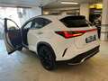 Lexus NX 300 450h Plug-in 4WD F-Sport Weiß - thumbnail 7