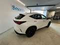 Lexus NX 300 450h Plug-in 4WD F-Sport Weiß - thumbnail 10