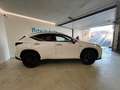 Lexus NX 300 450h Plug-in 4WD F-Sport Weiß - thumbnail 4