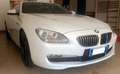 BMW 640 640d Coupe Futura auto Bianco - thumbnail 2