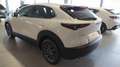 Mazda CX-30 2025 M-Hybrid 140cv Prime Line Bianco - thumbnail 6