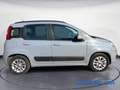 Fiat Panda Panda 1.2 EasyPower Lounge MOLTO BELLA Gris - thumbnail 5