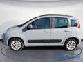 Fiat Panda Panda 1.2 EasyPower Lounge MOLTO BELLA Gris - thumbnail 4