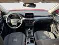 Ford Focus 1.0 Ecoboost MHEV Active 155 Rojo - thumbnail 10