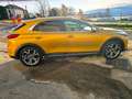 Kia XCeed XCeed 1.6 CRD 136CV EVOLUTION IN PERFEZIONE TOTALE Oro - thumbnail 9
