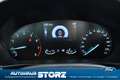 Ford Focus Titanium WINTER PAKET|KOMFORT PAKET|KAMERA|TEMPOMA Blau - thumbnail 16