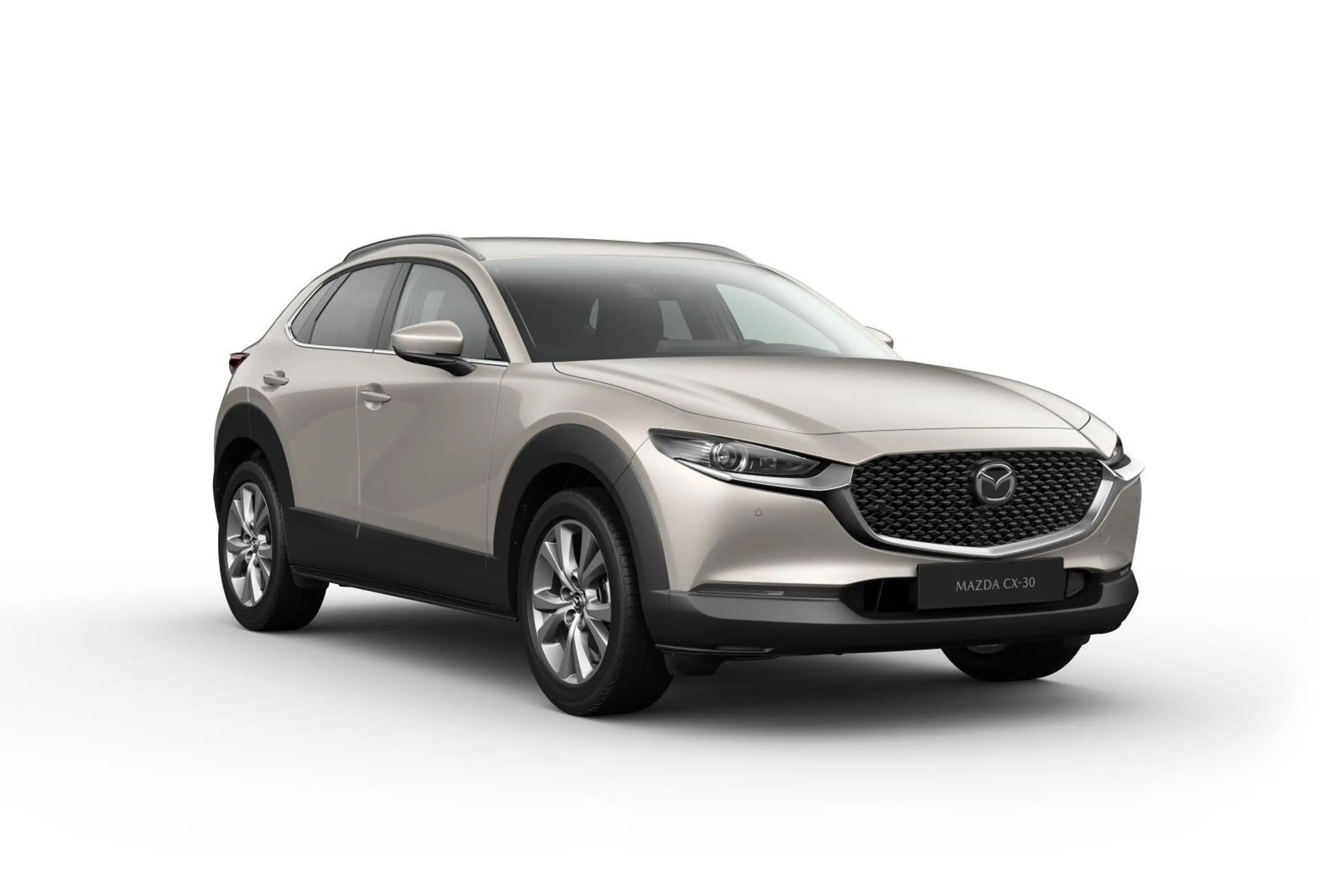 Mazda CX-30 Exclusive-Line 186PS Matrix/Bose/360°