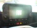 Fiat Panda Cross Pandina 1.0 FireFly Hybrid 5Posto Nuovo Mo Bianco - thumbnail 23