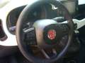 Fiat Panda Cross Pandina 1.0 FireFly Hybrid 5Posto Nuovo Mo Bianco - thumbnail 16